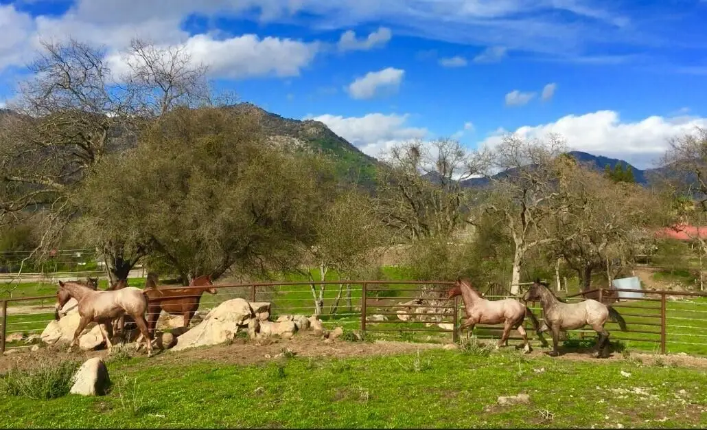 0 Old Three Rivers Road, Three Rivers, CA 93271 - #1
