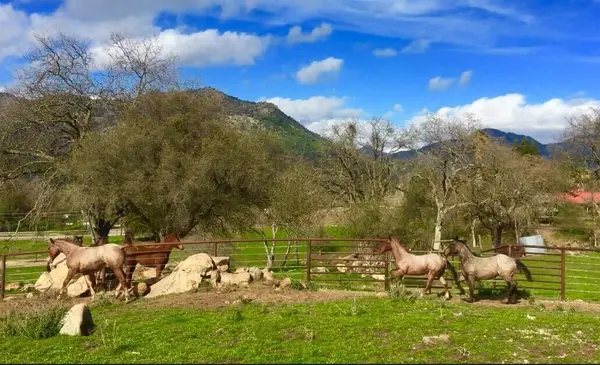 0 Old Three Rivers Road, Three Rivers, CA 93271