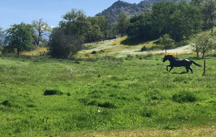 0 Old Three Rivers Road, Three Rivers, CA 93271 - #2