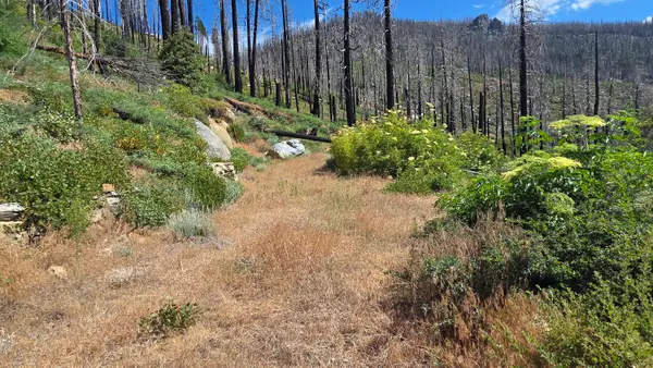 53009 Pine View Drive, Springville, CA 93265