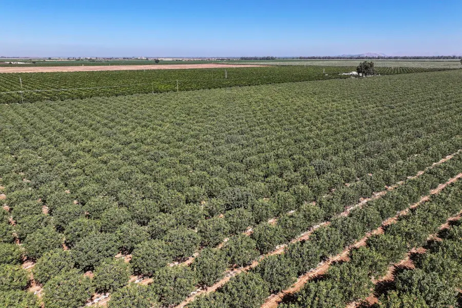 14464 Ave 360, Visalia, CA 93292 - #3