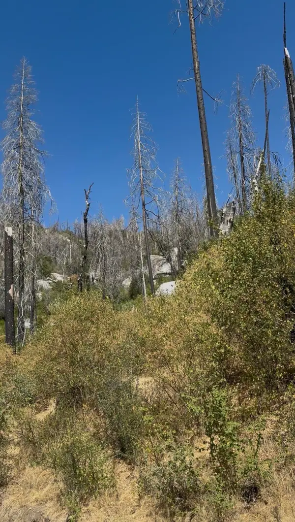 36980 Peterson Road, Auberry, CA 93602