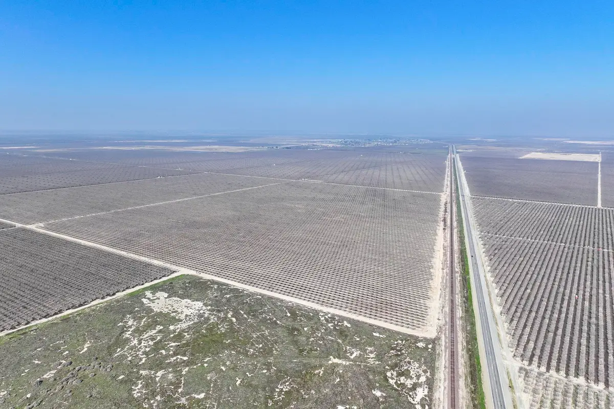 Ca-43, Earlimart, CA 93219 - #1