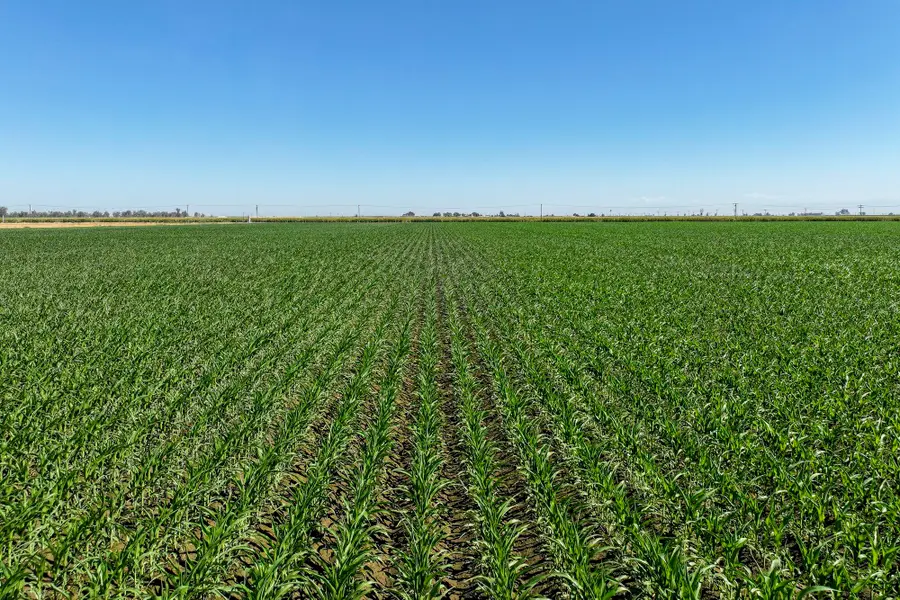 Road 112, Pixley, CA 93256 - #3