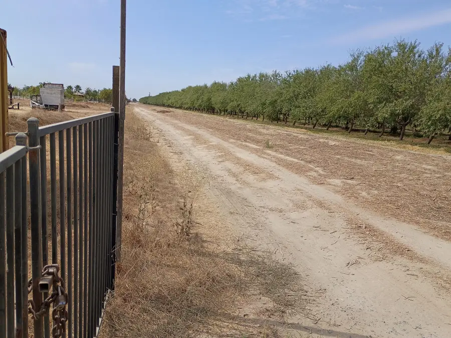 Rd 152, Earlimart, CA 93219 - #3