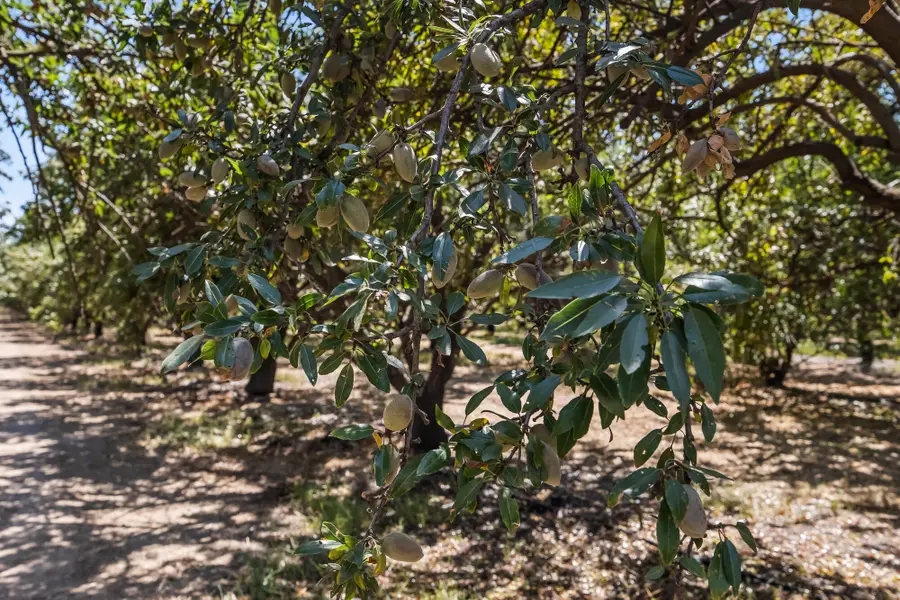 E Cleveland Road, El Nido, CA 95317 - #3
