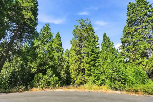 39730 Foxglove Lane, Shaver Lake, CA 93664