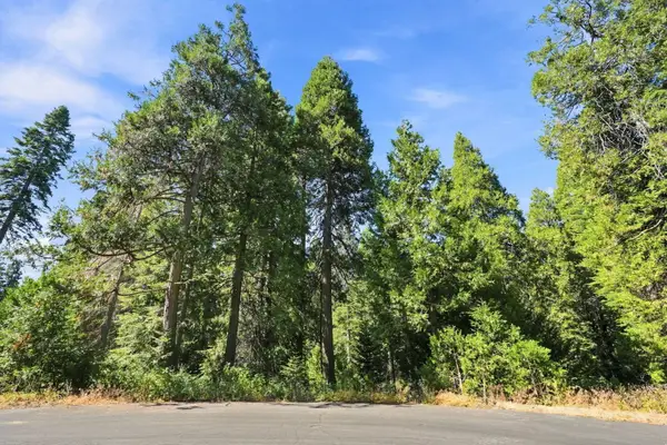 0 Foxglove Lane, Shaver Lake, CA 93664