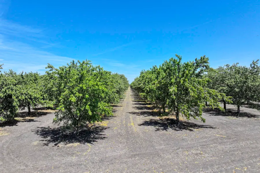 W Springfield Avenue, San Joaquin, CA 93660 - #2