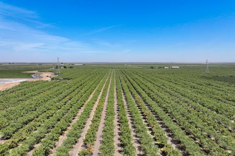 W Springfield Avenue, San Joaquin, CA 93660 - #3