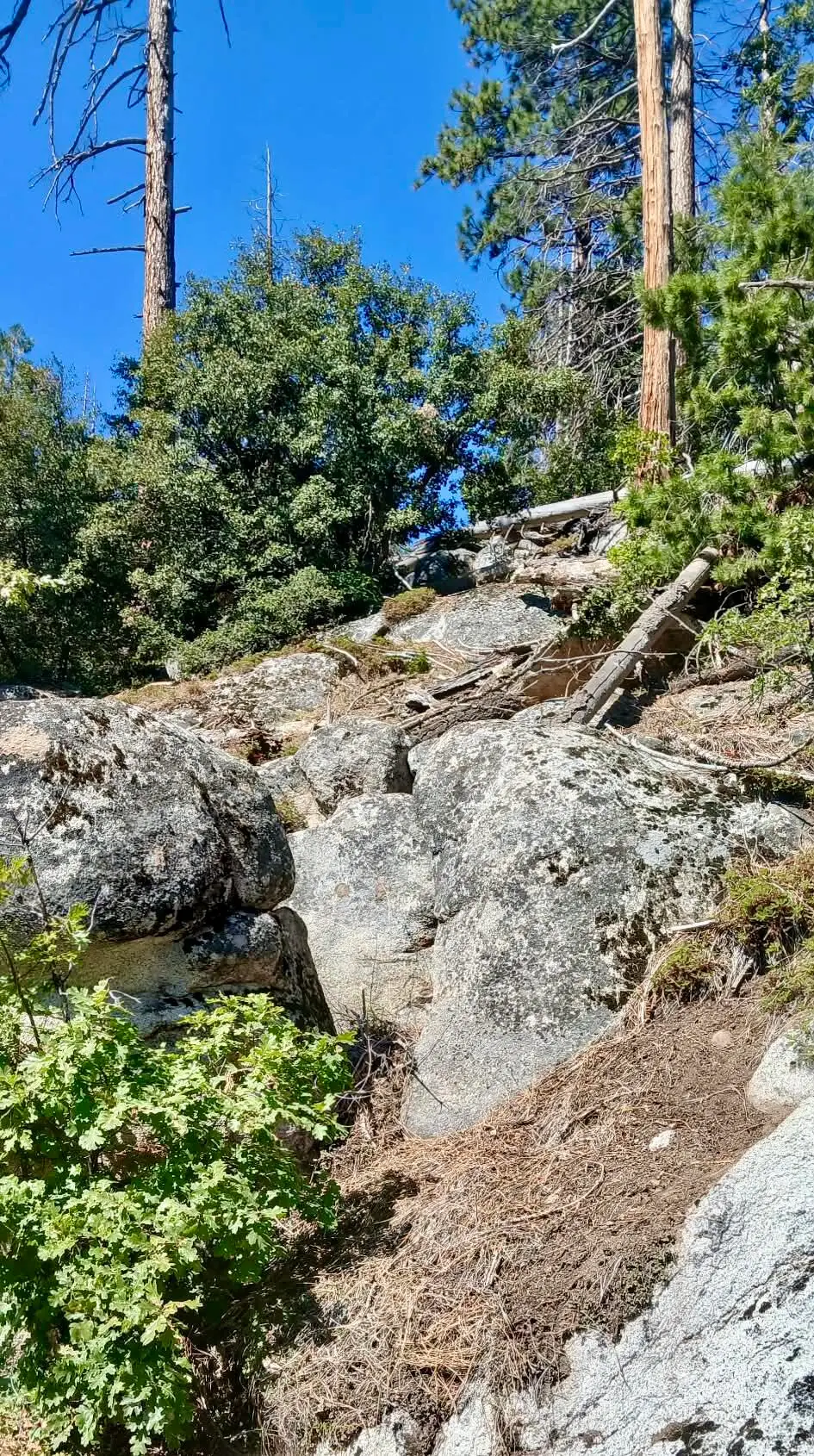 67 & 68 Mountain-aire, Springville, CA 93265 - #1