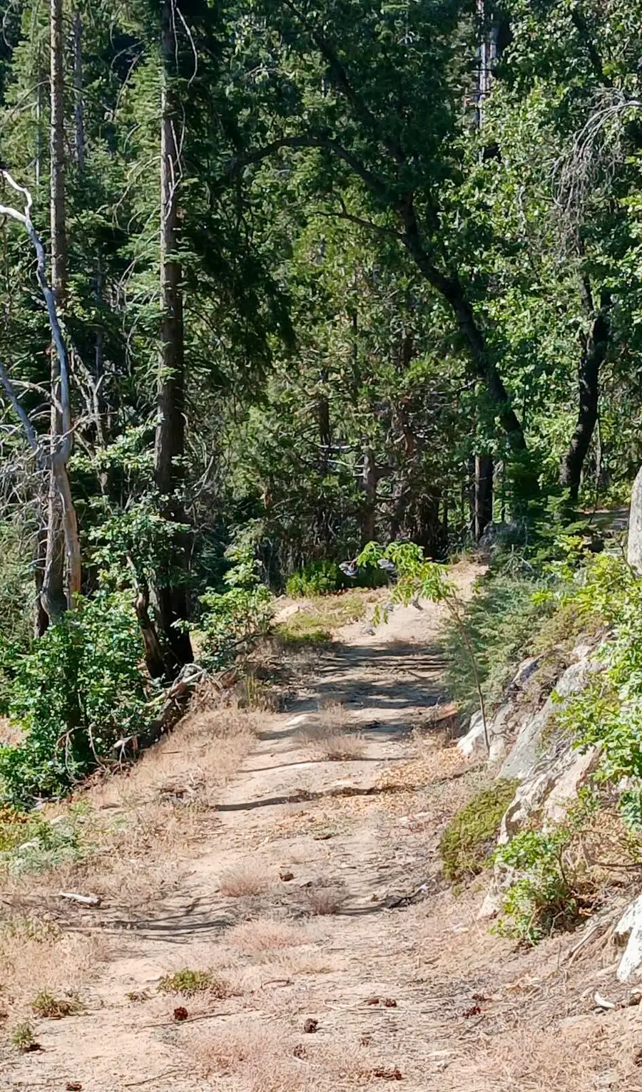 67 & 68 Mountain-aire, Springville, CA 93265 - #3