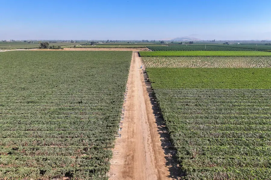 0 Road 88, Dinuba, CA 93618 - #2