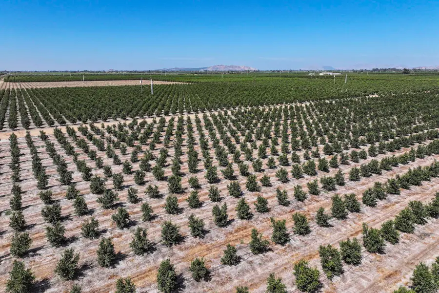 40903 Road 144, Orosi, CA 93647 - #2