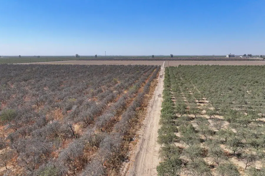 3099 Alila Avenue, Pixley, CA 93256 - #3