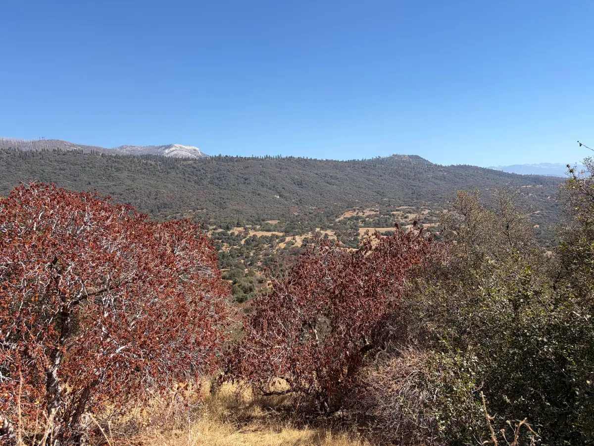 0001 Hogback, Badger, CA 93603 - #1