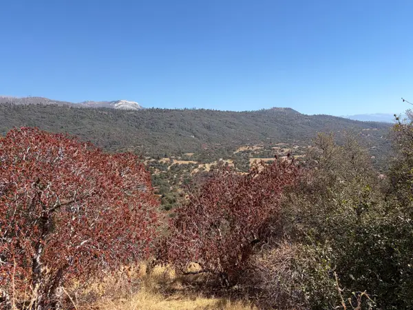 0001 Hogback, Badger, CA 93603