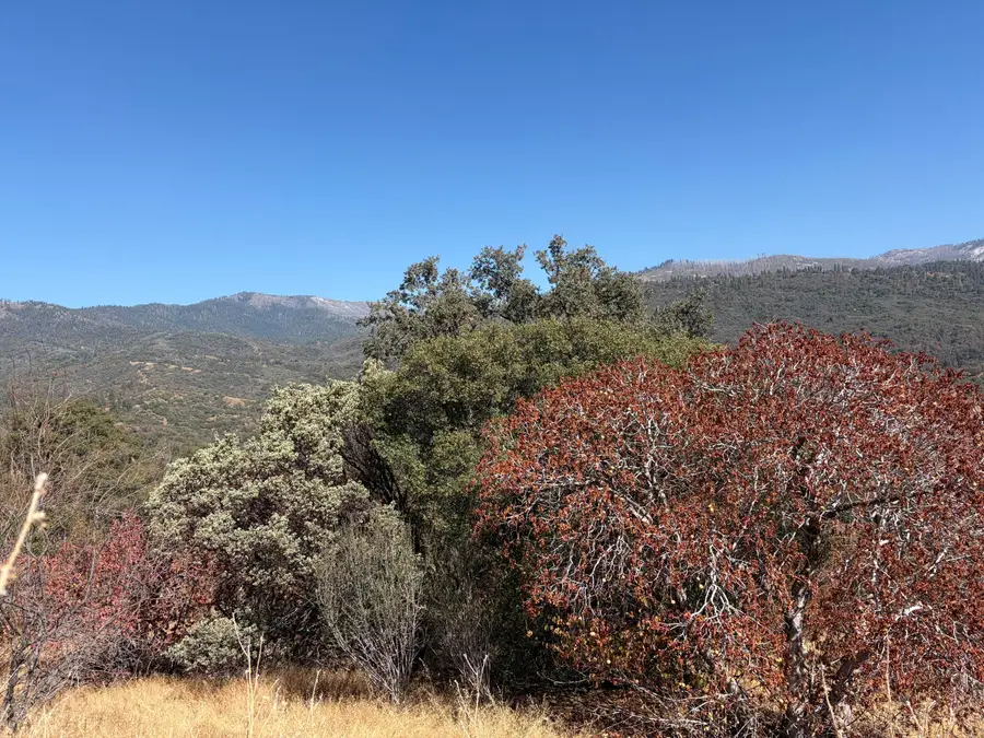 0001 Hogback, Badger, CA 93603 - #2