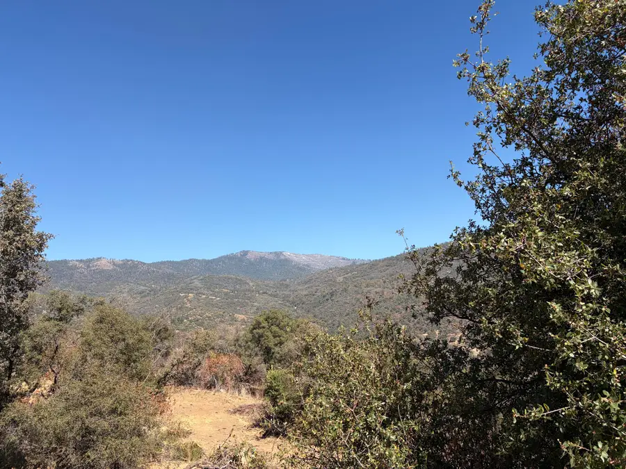 0001 Hogback, Badger, CA 93603 - #3