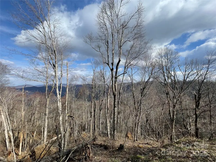 Lot #39 Ridge Top Circle, Clyde, NC 28721 - #2