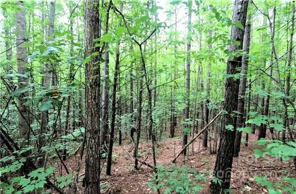 0 Chasewood Drive #8, Rutherfordton, NC 28139