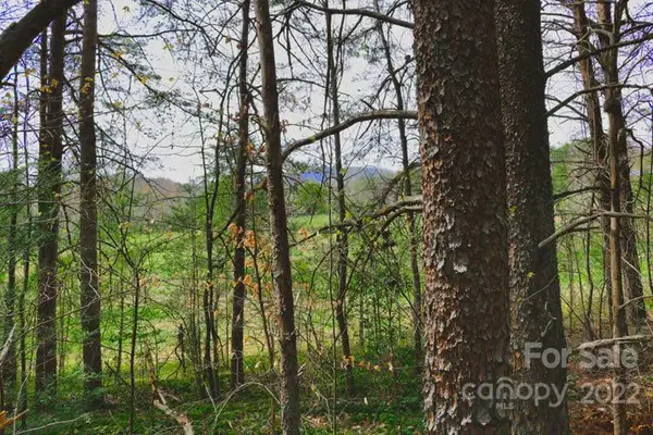 0 Westridge Drive #87, Lake Lure, NC 28746