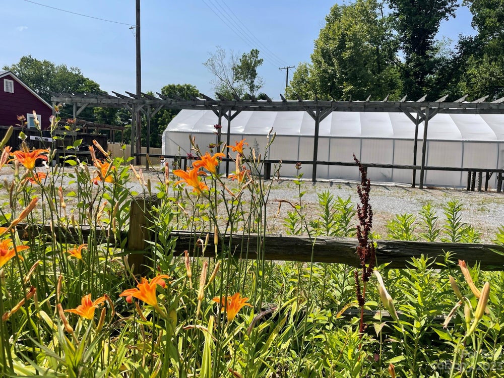 905 Carbon City Road, NC 28655 ERA