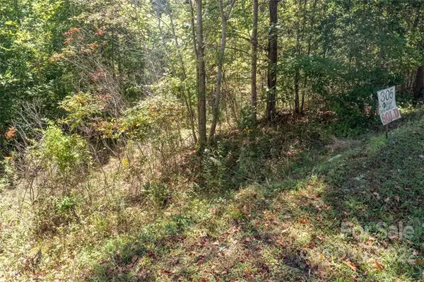 00 Rock Ledge Drive #305, Lake Lure, NC 28746