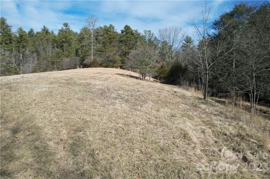 36 Stockton Branch Road, Weaverville, NC 28787 - #3