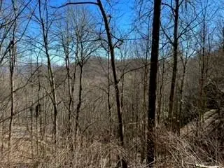#3
