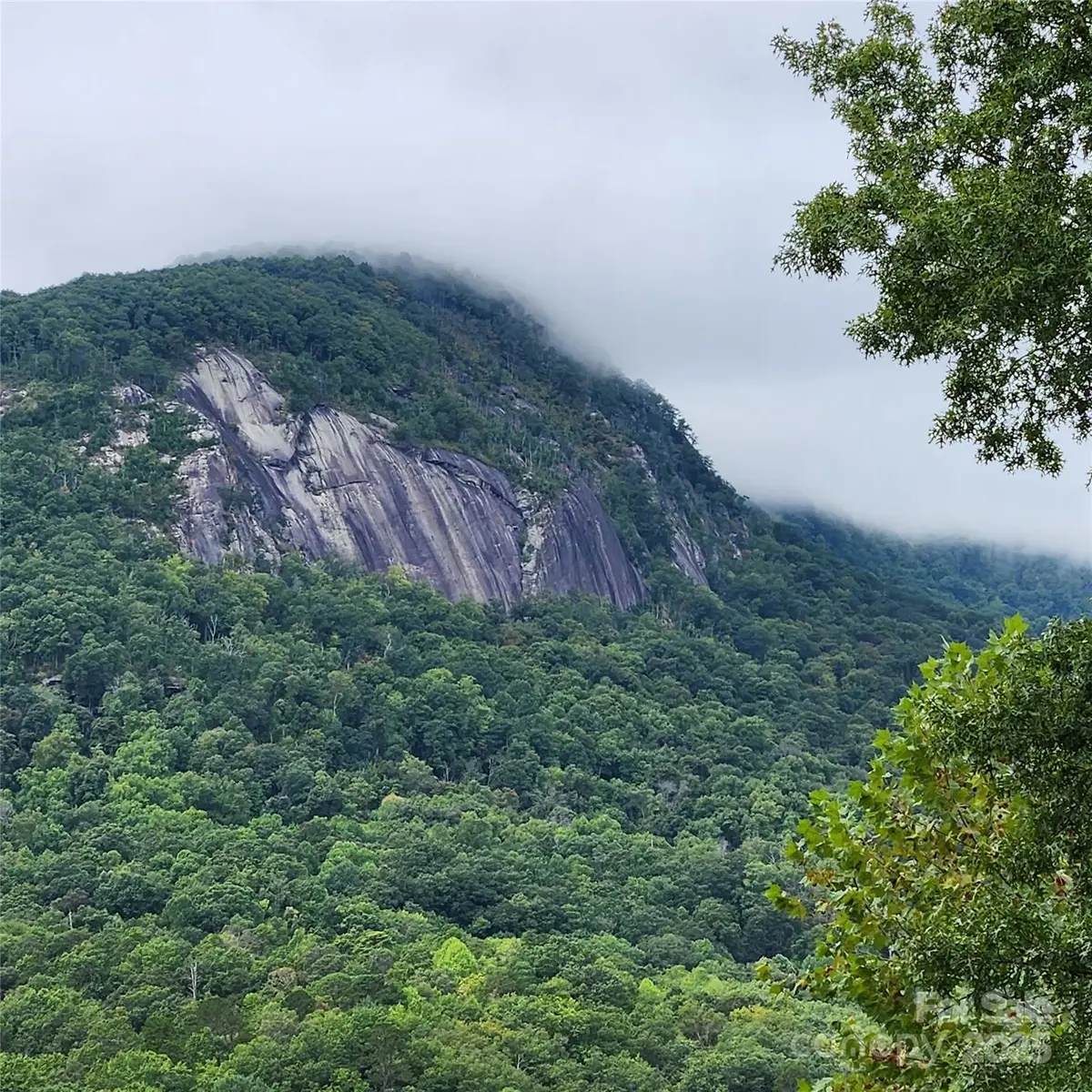 Lot 11 Waterside Drive, Lake Lure, NC 28746 - #1