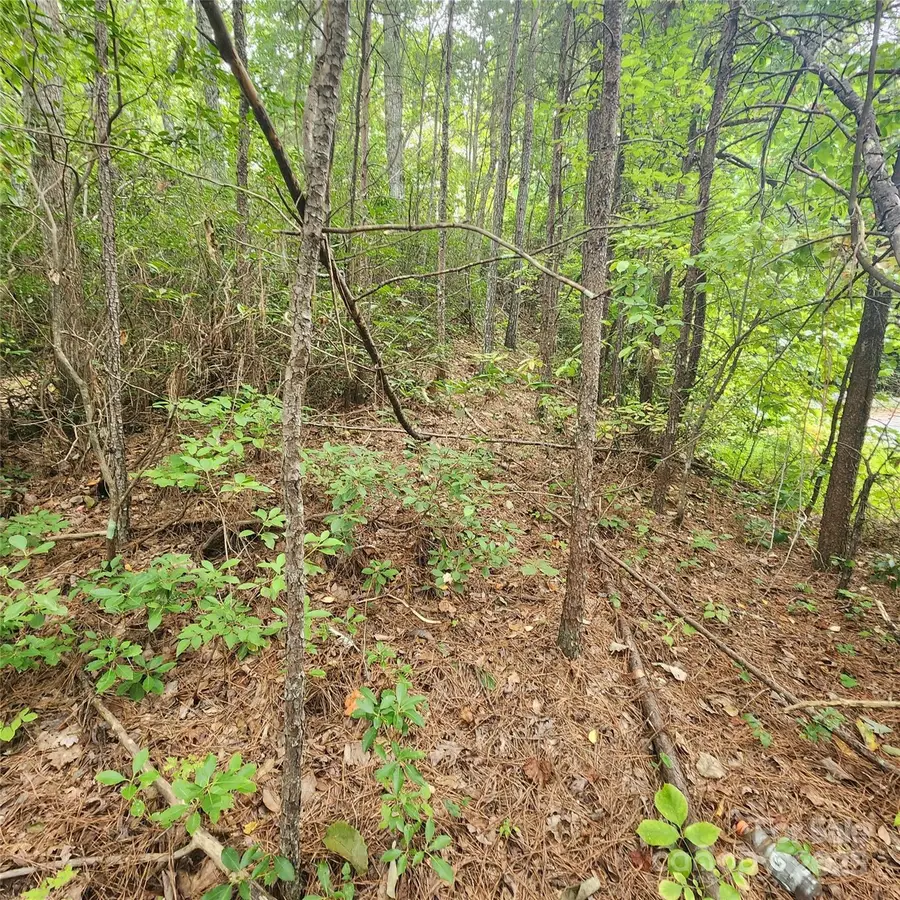 Lot 11 Waterside Drive, Lake Lure, NC 28746 - #3