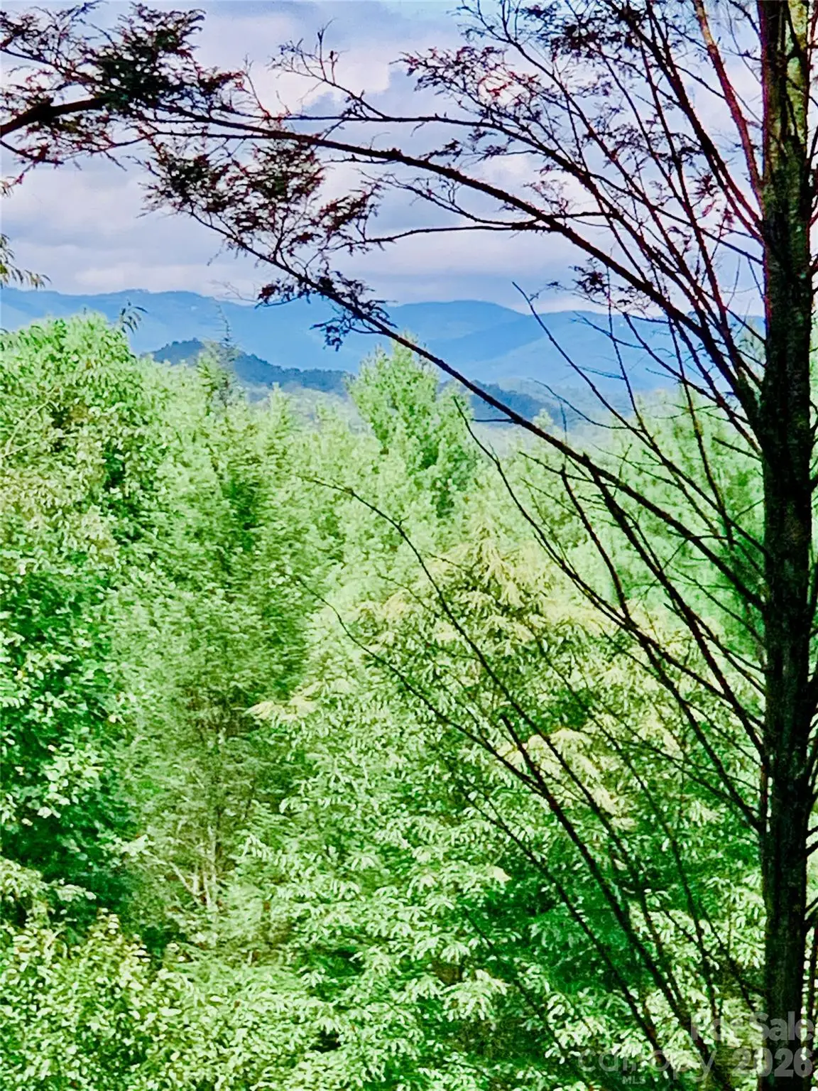 1.34 acres, Lot 234 Waterfall Lane #234, Lenoir, NC 28645 - #1