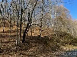 #3