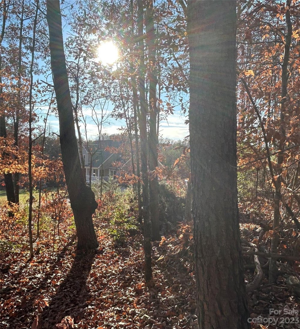 5302 Avenida De Oro Road, NC 28655 ERA