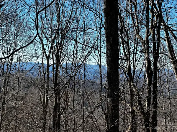 0 Wild Turkey Road #21, Bakersville, NC 28705