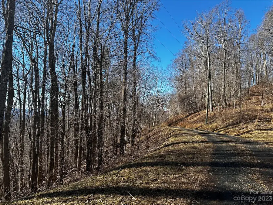 0 Wild Turkey Road #21, Bakersville, NC 28705 - Image #3