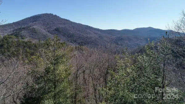 82 Davey Crockett Road, Fairview, NC 28730