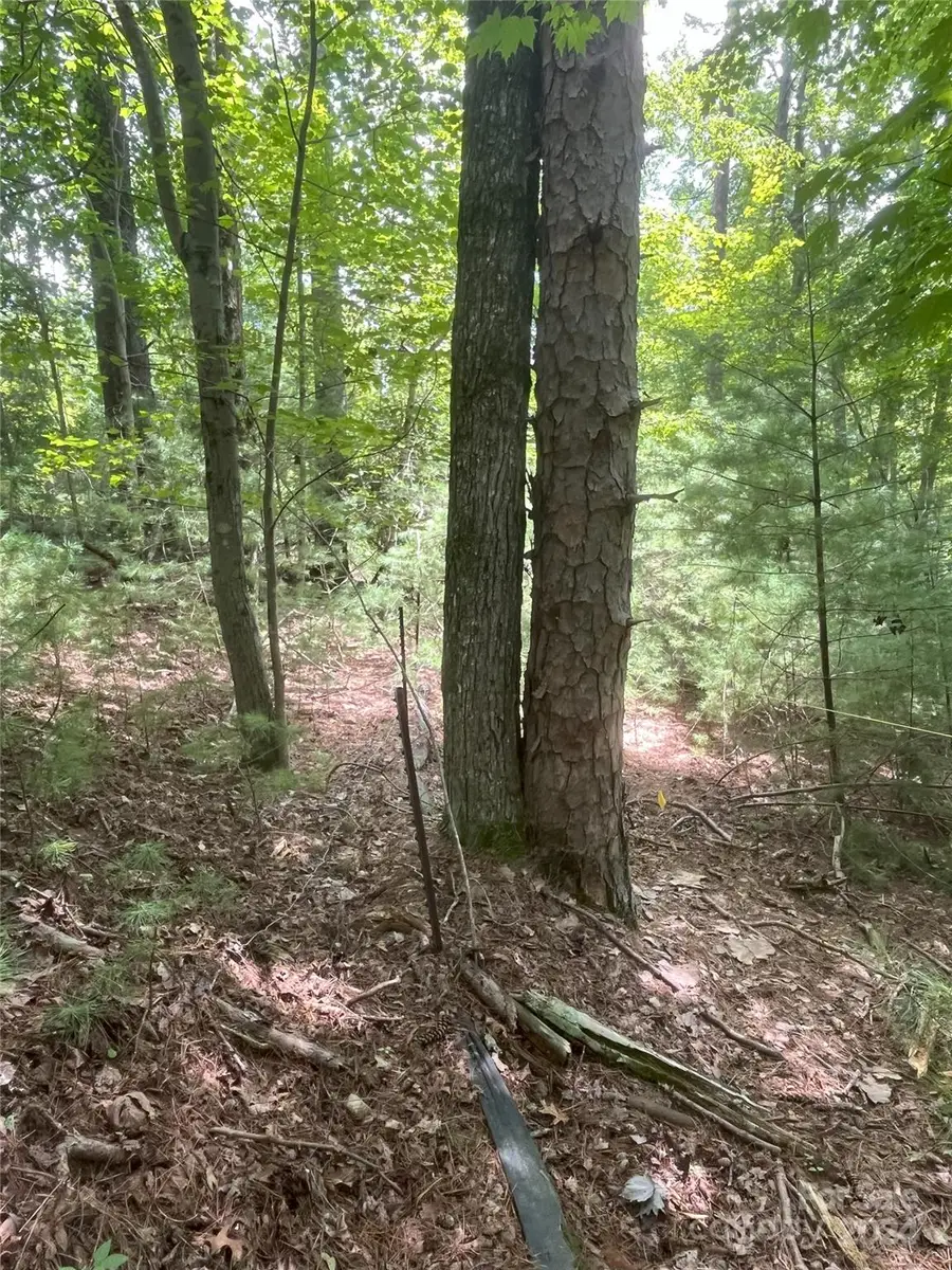 #2