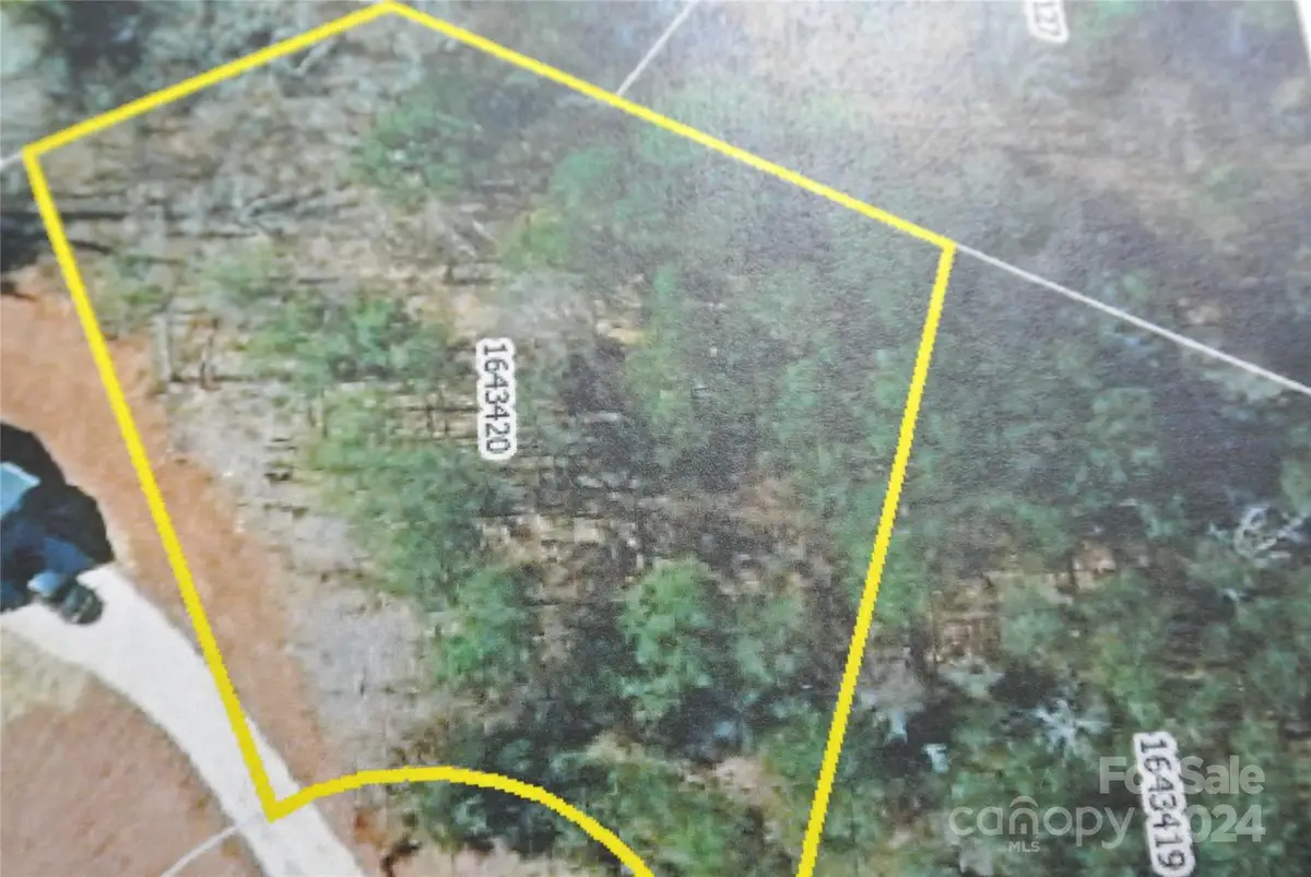 Lot 122 Pleasant Place, Rutherfordton, NC 28139 - #1