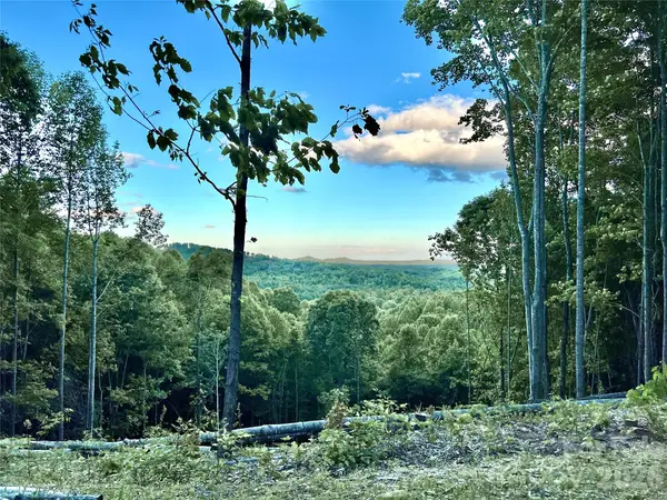 4.77 acres, Lot 245 Johns Ridge Parkway #245, Lenoir, NC 28645