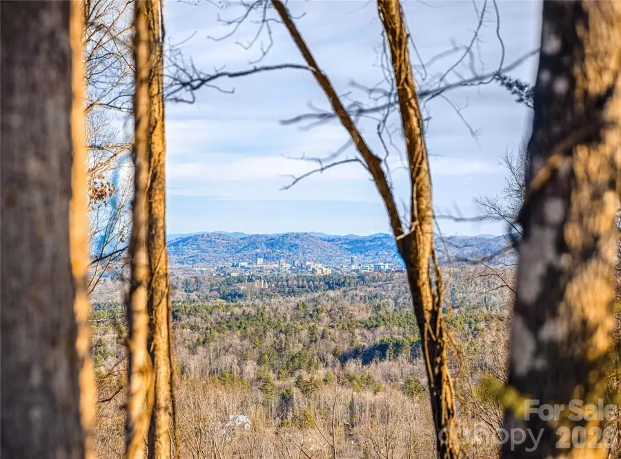 755 Tea House Drive #912, Asheville, NC 28803 - #3