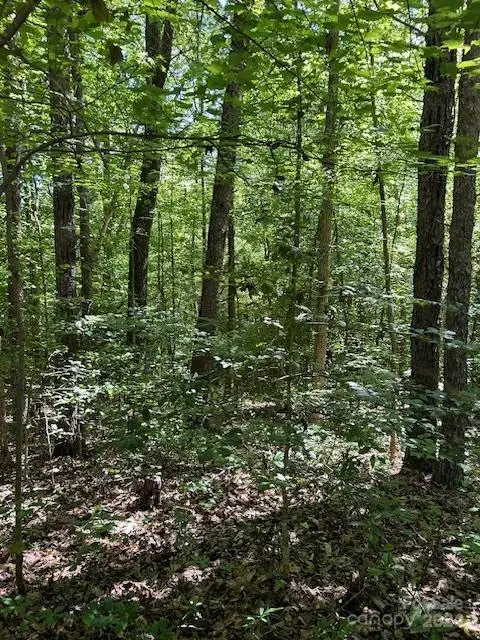 8145 Rowe Street, Catawba, NC 28609 - #1