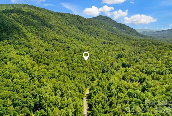 0 Buffalo Creek Road, Lake Lure, NC 28746