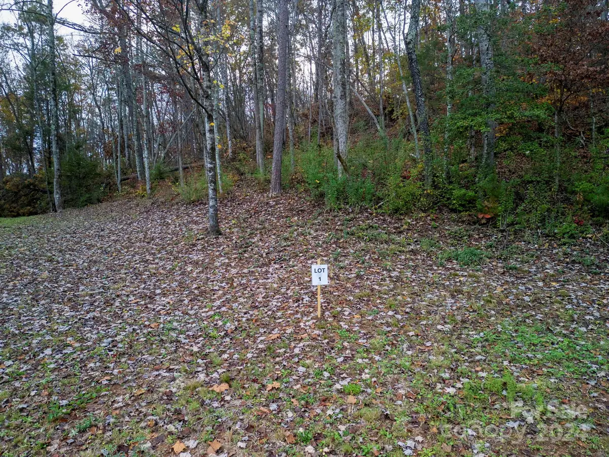 Address Withheld By Seller, Old Fort, NC 28762 - #1