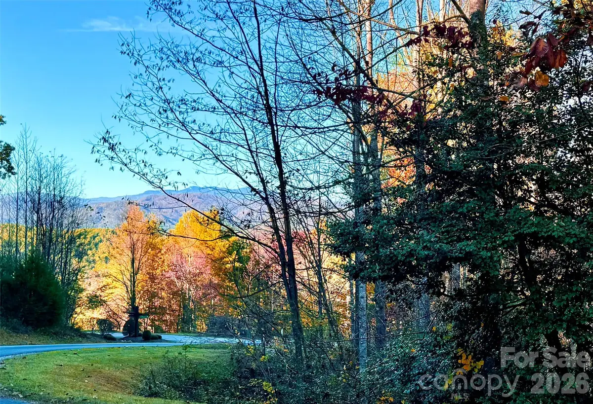 6.09 acres, Lot 136/137 Johns Ridge Parkway #136/137, Lenoir, NC 28645 - #1