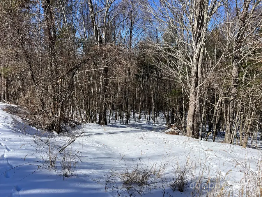 TBD (Lots 13 & 14) Timberwilde Drive, Laurel Springs, NC 28644 - Image #2