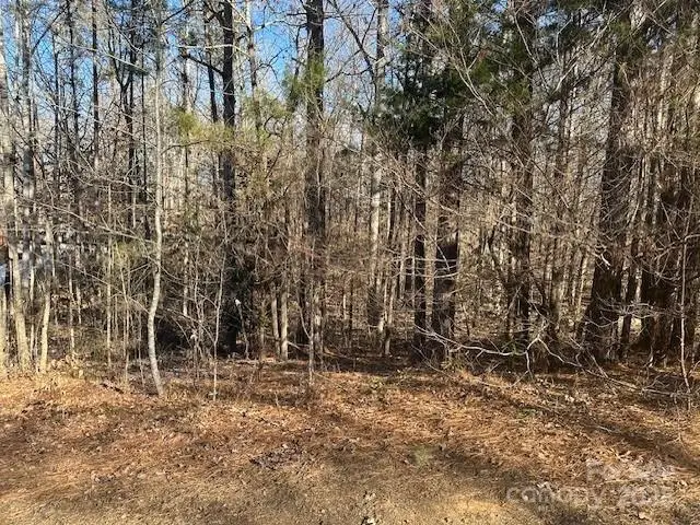 00 Southwinds Court #24, Rock Hill, SC 29730 - Image #2