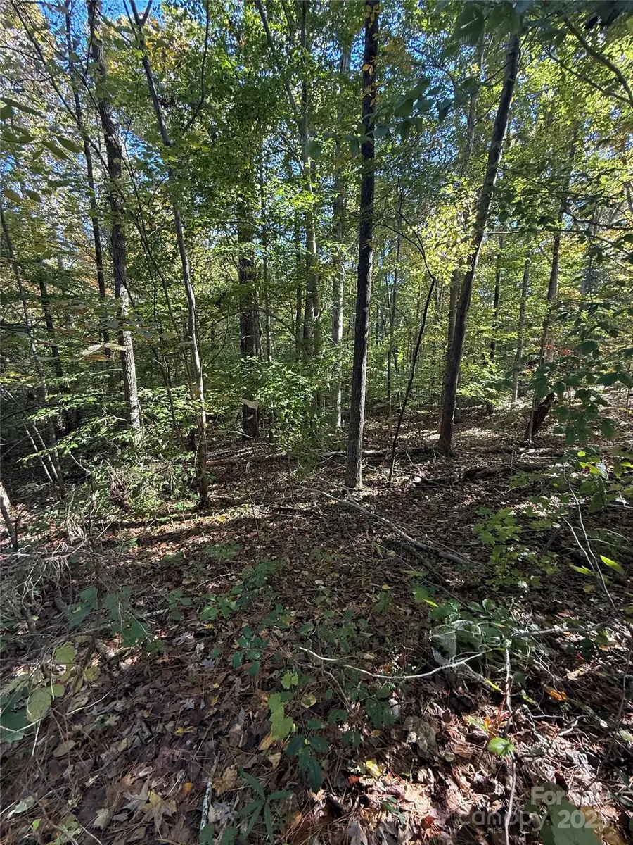 00 Southwinds Court #24, Rock Hill, SC 29730 - Image #3