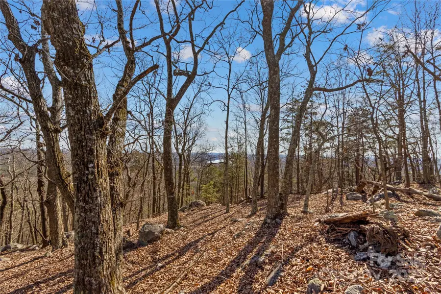 1026 Sierra Trace Road, Denton, NC 27239 - Image #3